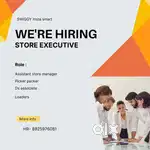 Store Executive  ( Swiggy instamart )