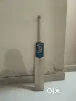 Cricket Bat