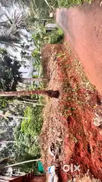6 cent plot 100m from cwrdm bypass,mundikalthazham