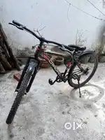 Cradiac bicycle