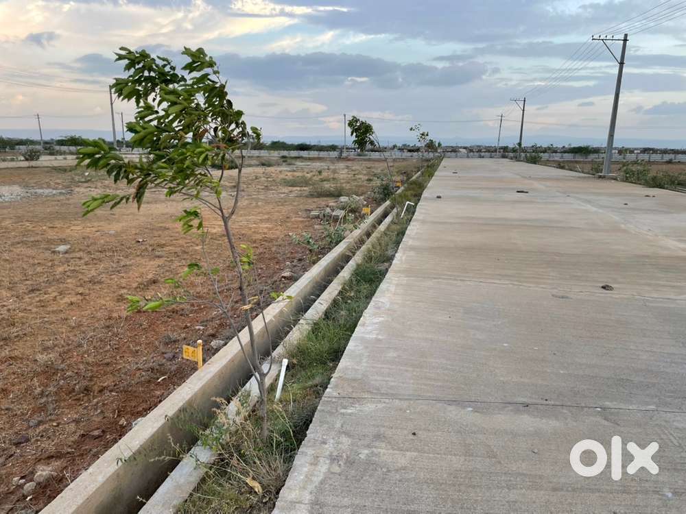 West facing 3.4 cents plot