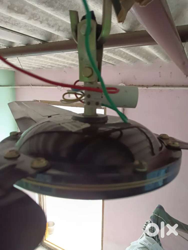 cromton fan no problem.