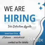 Tele Collection Executive