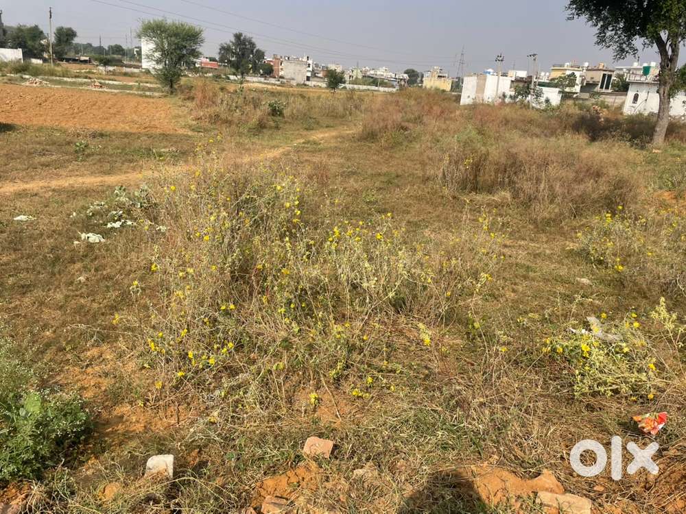 Plot sale 1500 vargfut