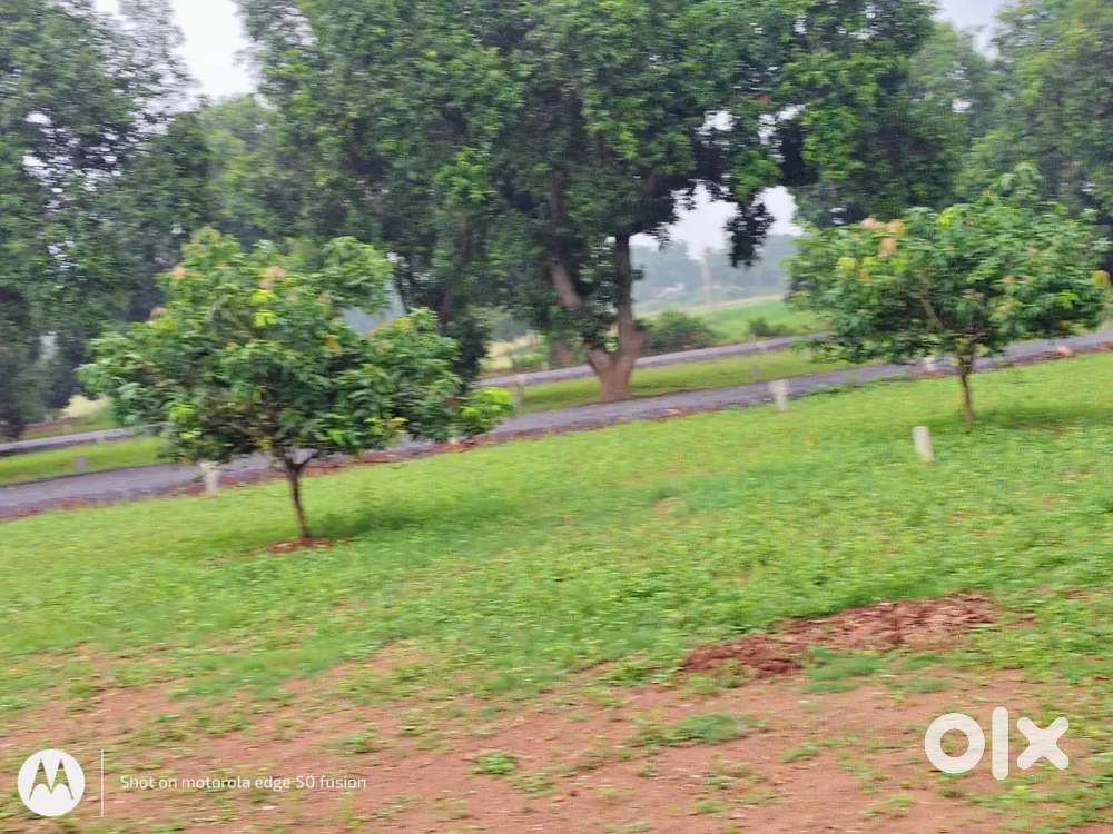 Low investment installment plots available