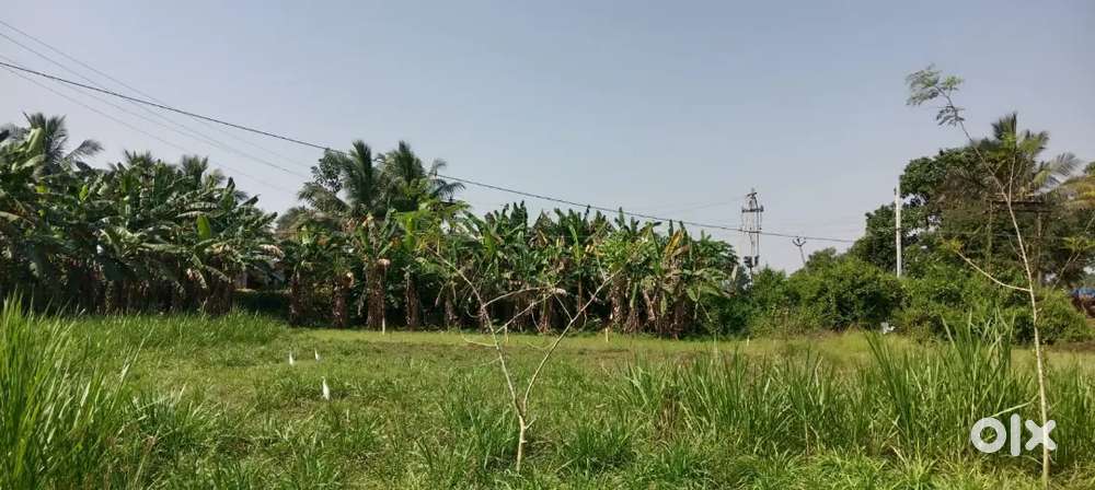 Agricultural land for sale