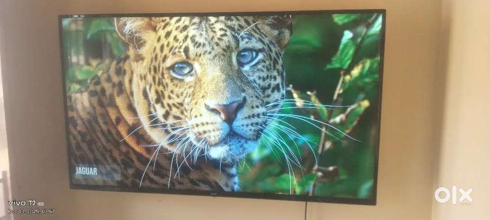 Redmi 50 4k Dolby Atmos tv for low price