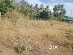 Theerthamalai land( 8lakh)