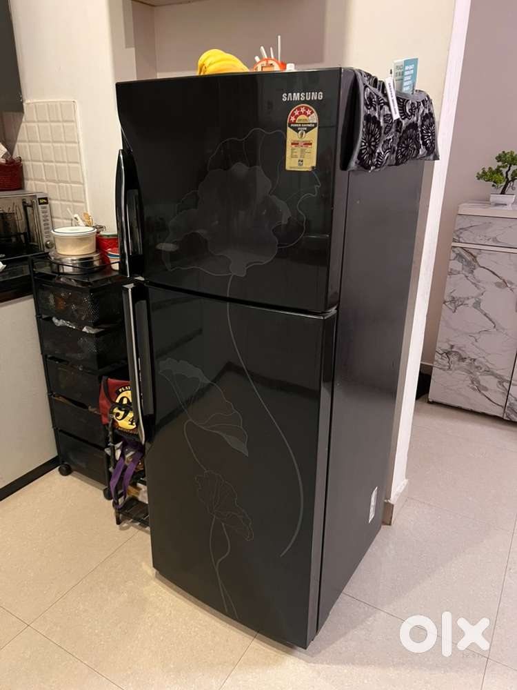 Samsung Fridge 4 Star 255 Litres Double Door Frost Free