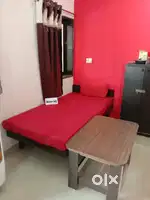 Boys pg at gotri Fully furnished pg