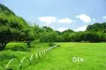 LAND FOR Regt. lease/rent at kandoli Pondha UPES/VISHRANTI DEHRADUN