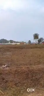 Property land for sale 10000 sqt , all paper complete