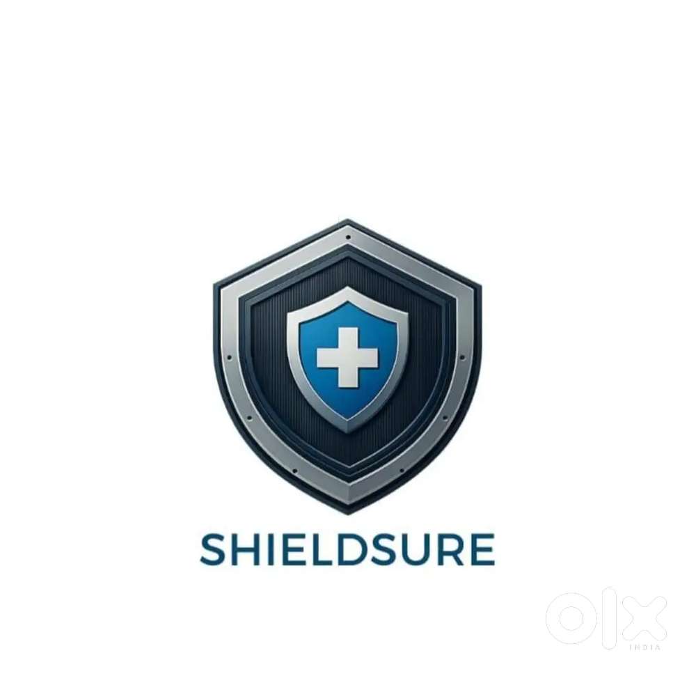 Required team leader for shieldsure pvt ltd