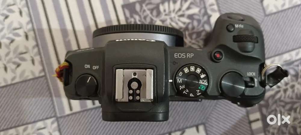 Canon EOS RP 1 year 2 month old