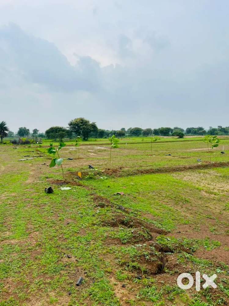 ₹799000/- me aavasiya diverted plots available, mandir hasaud, new rpr