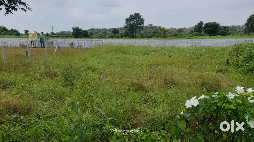 Kya aap bhi dekh rhe ho highway touch farmland