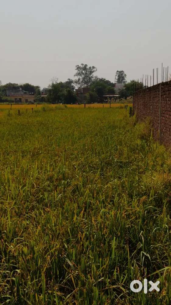 Plot for sale 7000sq ft