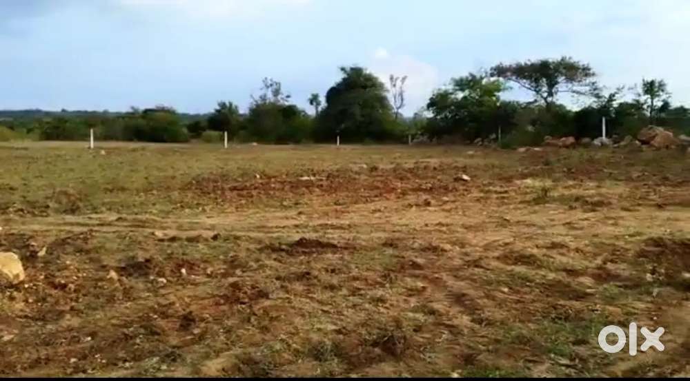 Kodangal 29 Guntas Agriculture Land for Sale