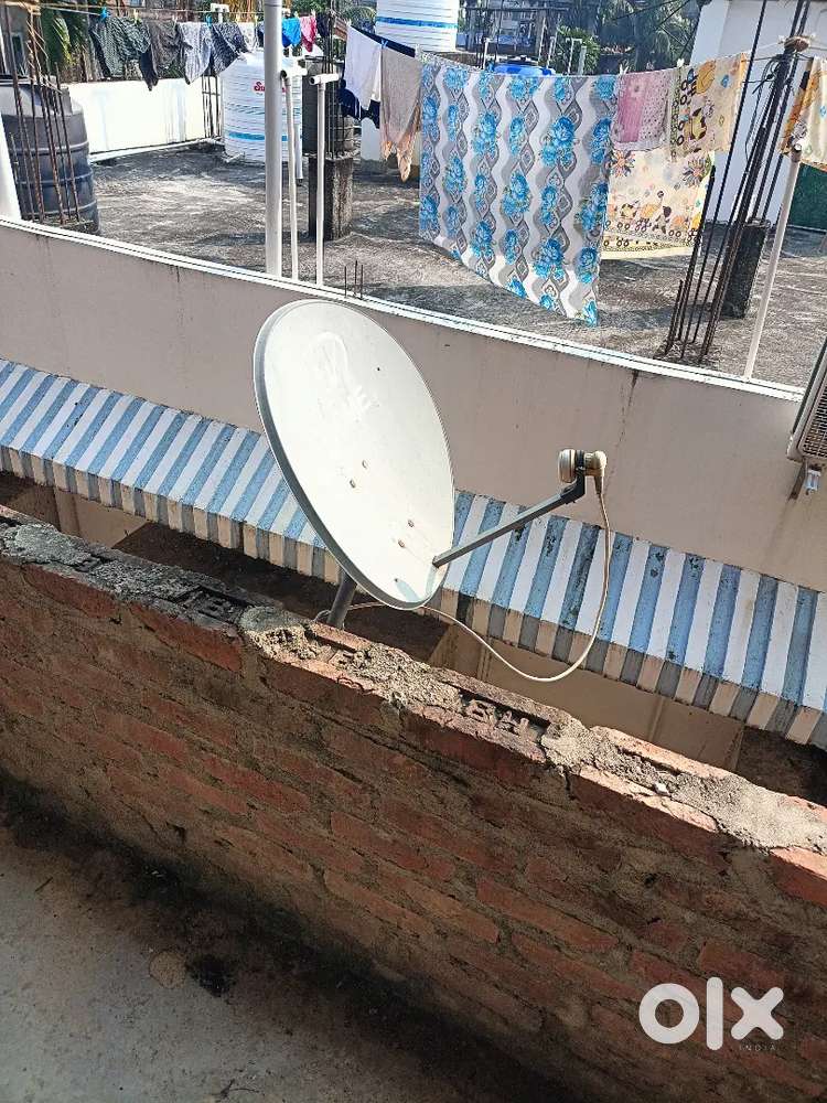 Dish wd box
