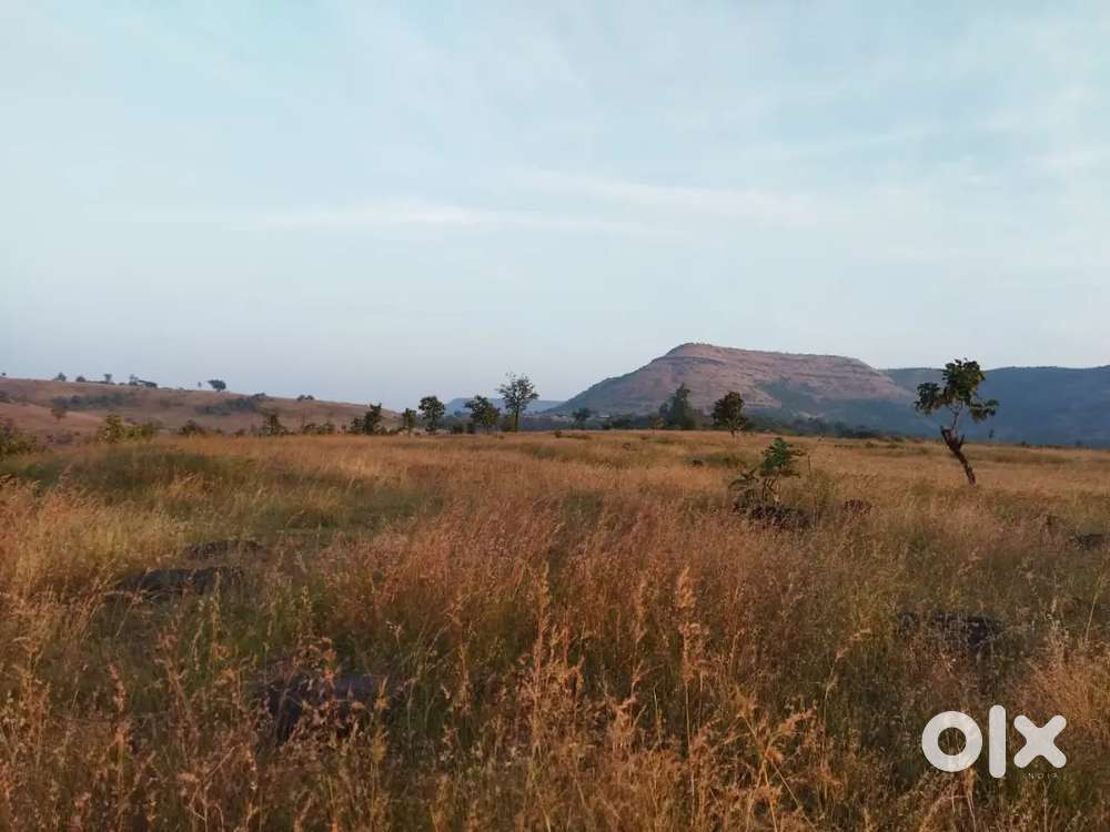 55 Acre Agriculture Plot Ghodegaon