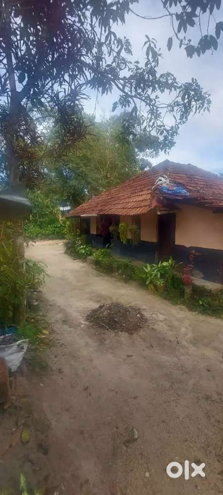 17 Cent Plot for sale