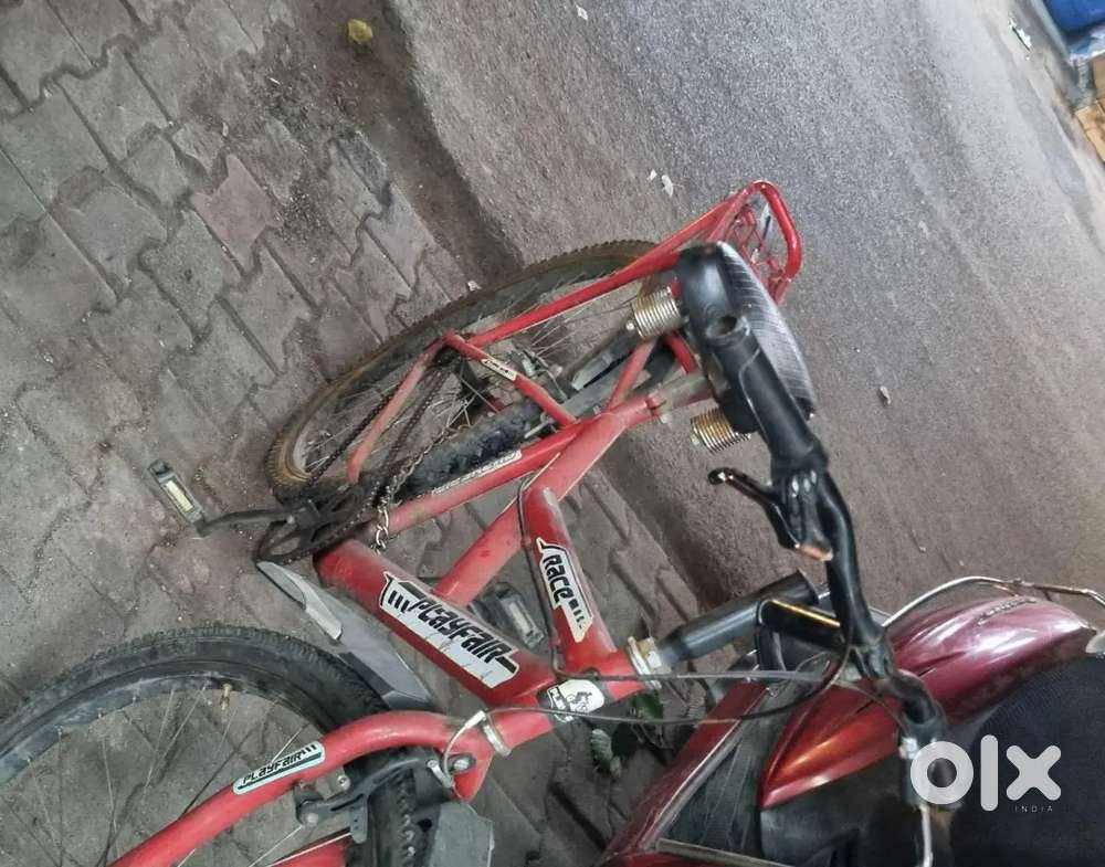 New cycle 2 year old