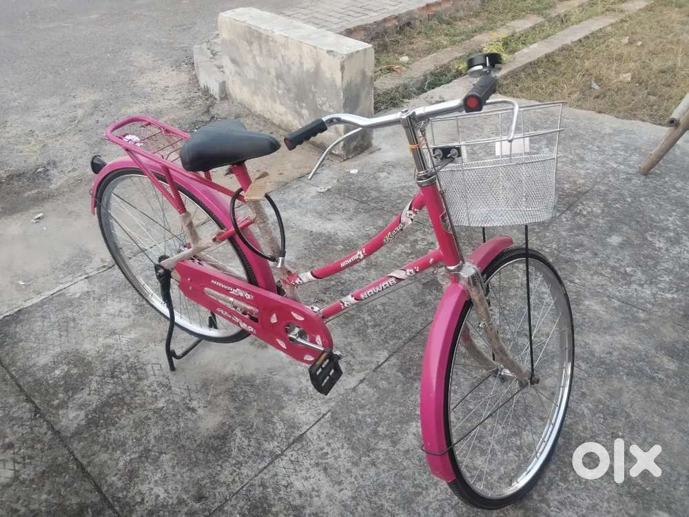 Brand new ladies cycle