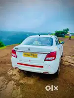 Professional Driver