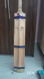 Cricket bat