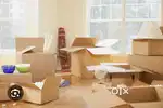 Need 20 Helper / Packing At Location chandigarh