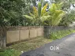 21 cent plot for sale