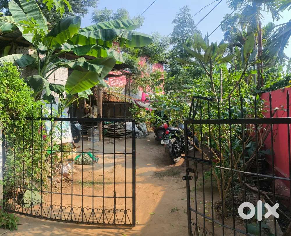 Hindu Brahmin area with polution free and cool land for sell