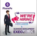 Hiring Freelancer for phone pay