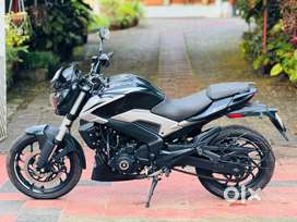 DOMINAR 250 in bs6,KTM,NS,RS,MT,V2,V3,CBR,HIMALAYAN,XPULSE,BULLET,V4