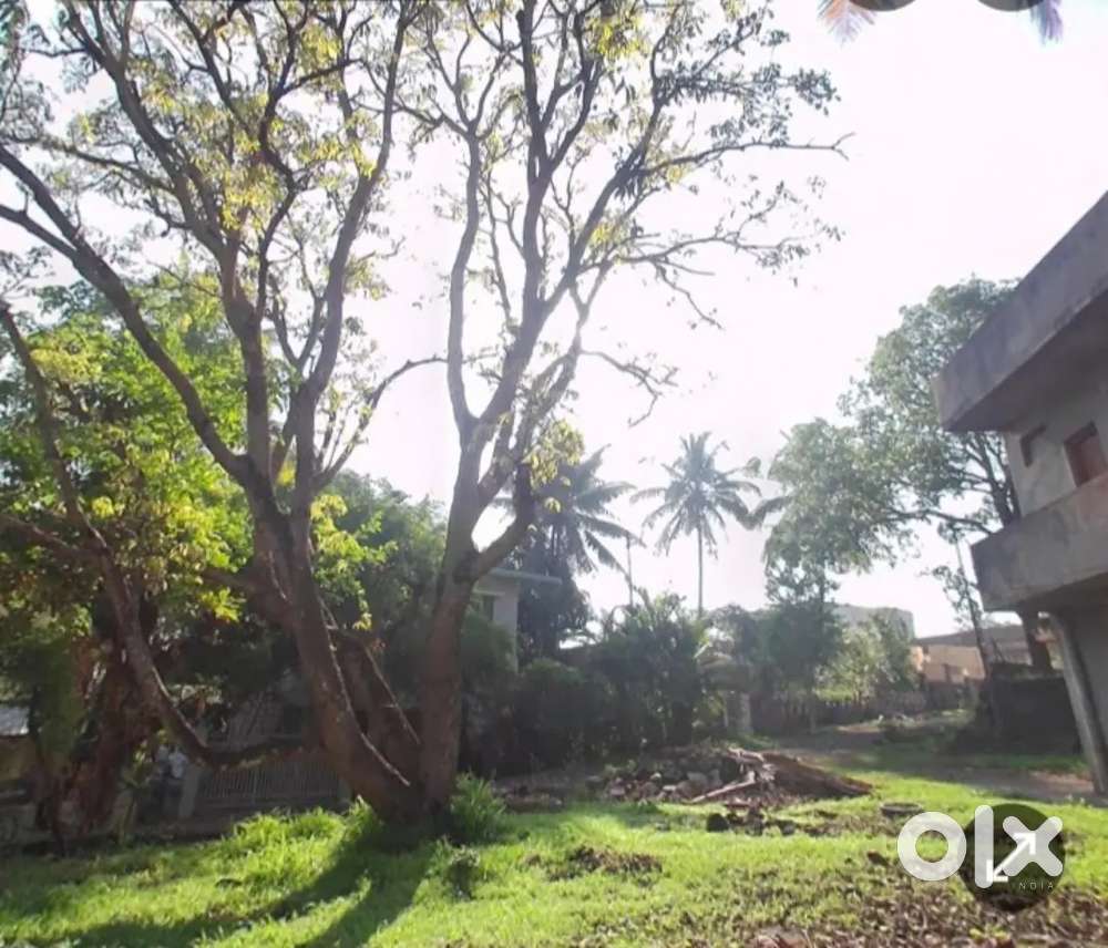 Salonkhe Nagar 6800 sqfr plot for sale