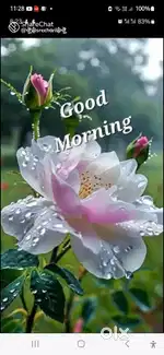 Need house rent for 8000/-for family