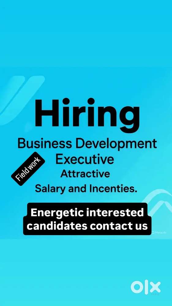Business Development Executive - Field work