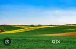 Land for sale 250 cents NC in Bailoor karkala for 50 L