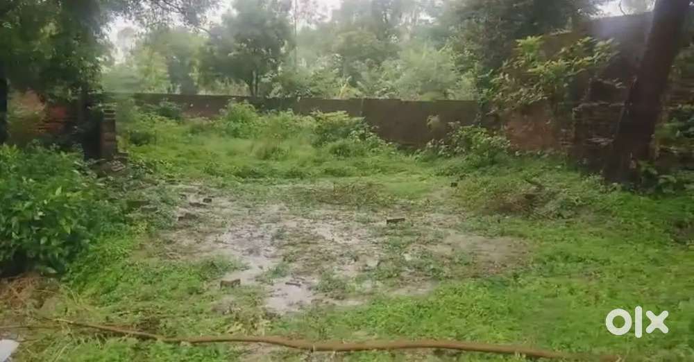 Best plot, near road
