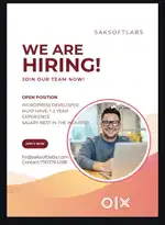 Word press developer (salary will be discussed in interview)