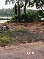 Best property