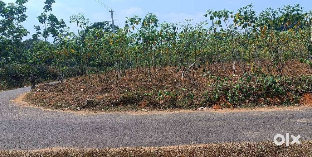 15 Cent plot  Near Elangulam ponkunam