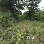Plot sell vradavan colony