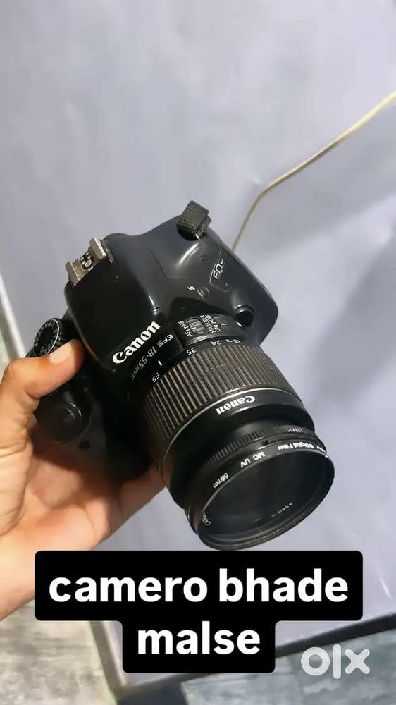 50d canon camera