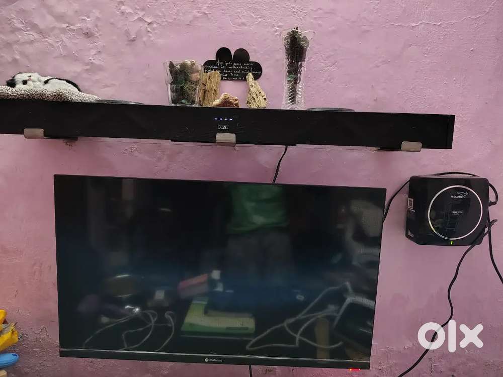 TV with speaker and stabilizer