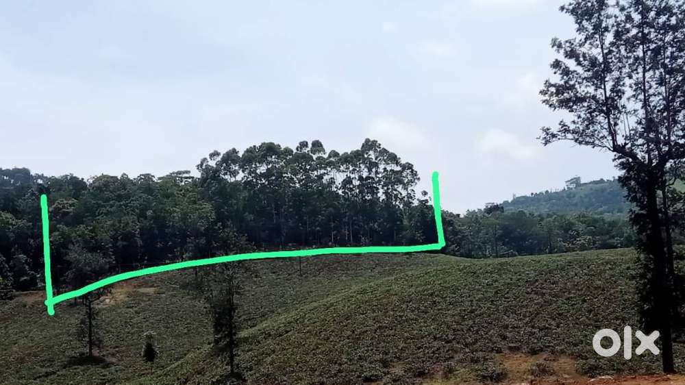 1.50 Acres of Land in Vagamon