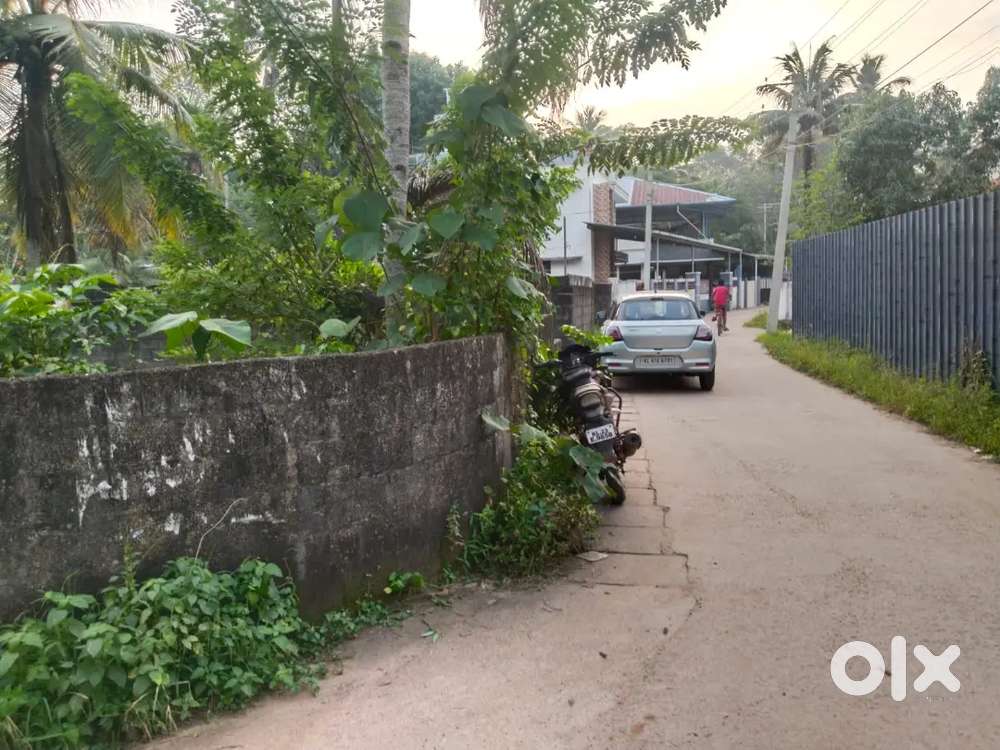 15cent square plot near ambady junction
