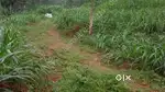 8 CENT FOR SALE... MALAPPURAM,VAZHOOR