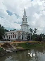 61 cents Coconut farm for sale near Kottaram, Kanniyakumari District