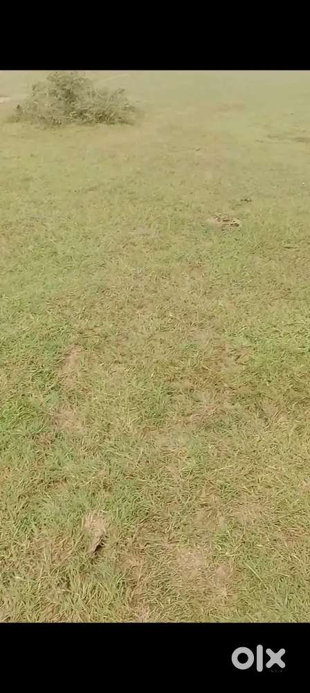 Plot for sale DTCP Approved